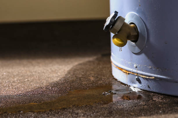 Best Mold removal after water damage  in Geneva, WA