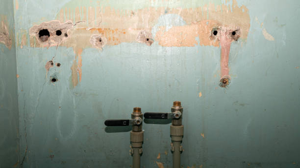 Best Local water damage restoration  in Geneva, WA