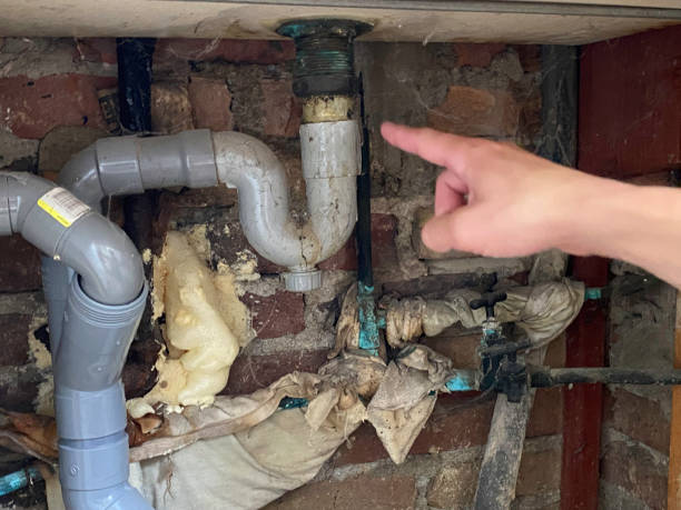 Best Local water damage restoration  in Geneva, WA