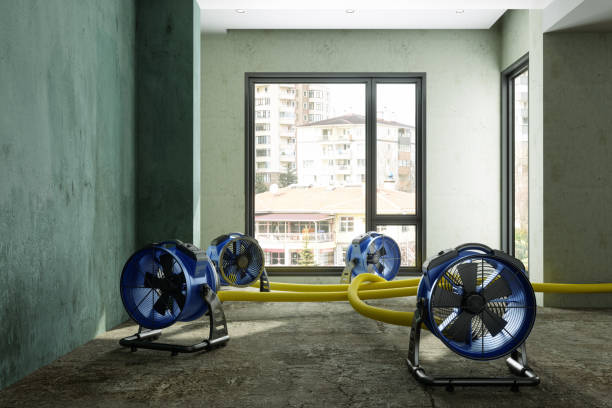 Best Residential water damage restoration  in Geneva, WA